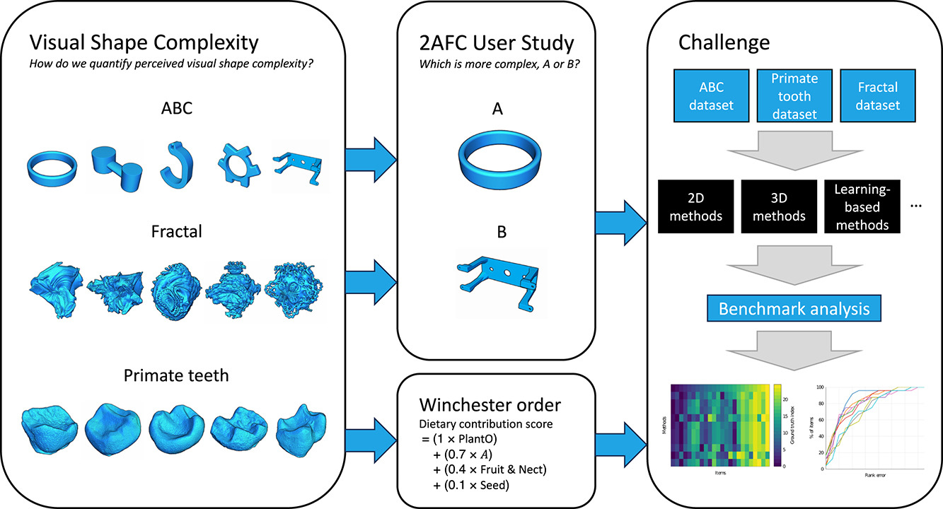 SHREC2026: Human perceived visual complexity of 3D shapes